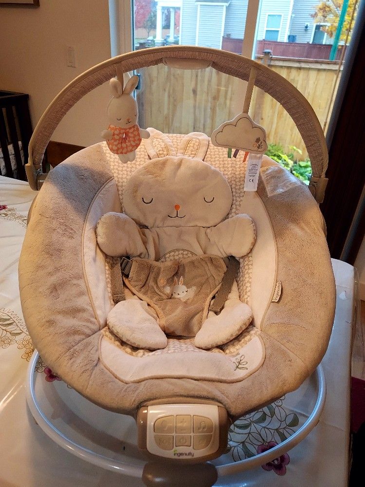 Baby Bouncer