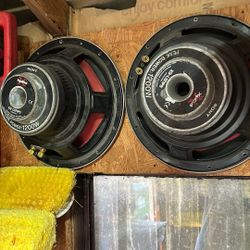 Xplod  speakers and amp.