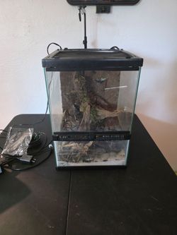 Aquarium(paladarium)