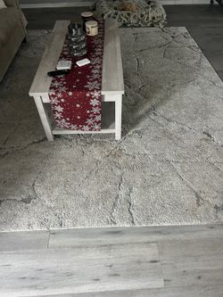 Large Rug Needs Cleaned $25