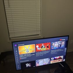 40 Inch Roku Smart Tv 