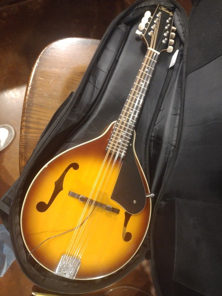 Electric Mandolin Kentucky KM 160 gig bag + accessories