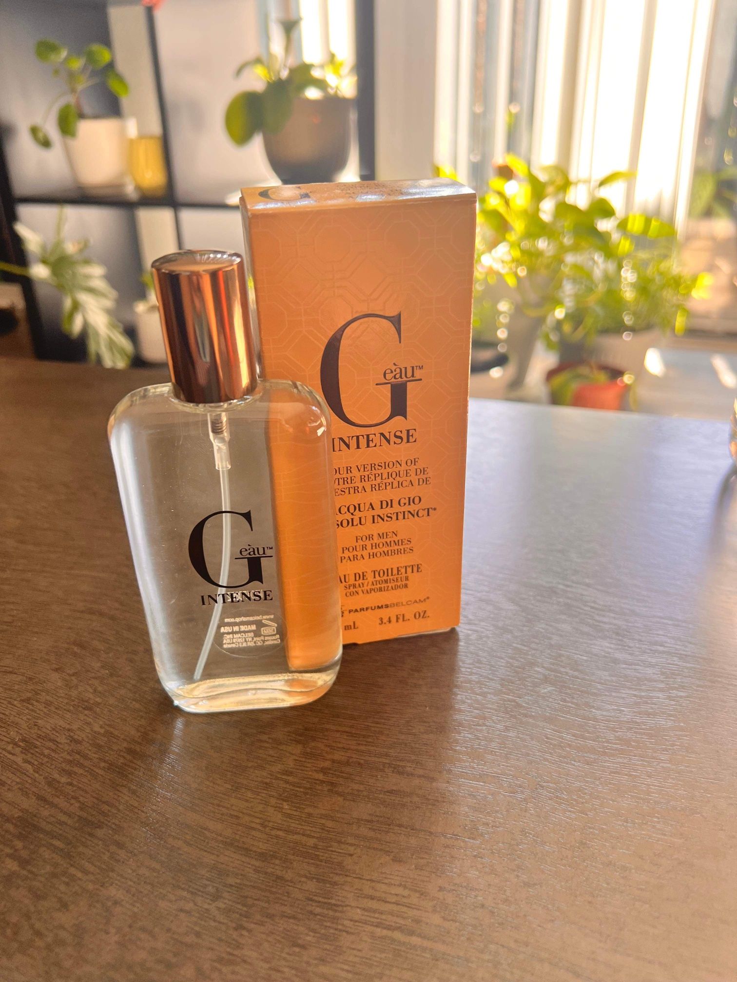 Parfums Belcam G Eau Eau De Toilette, Cologne for Men, 3.4 Fl oz