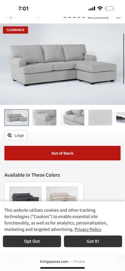Living spaces L couch with chaise