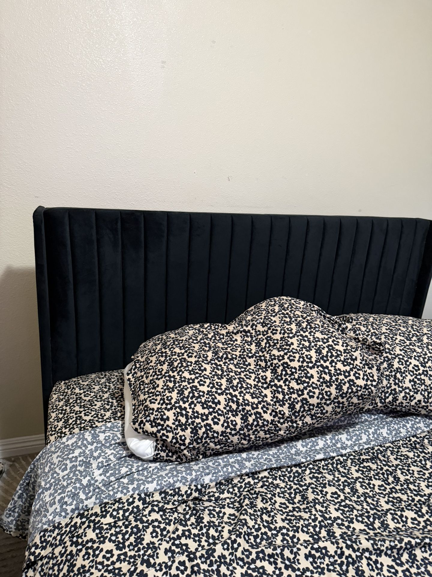 Velvet Panel Bed frame (Queen Bed Frame)