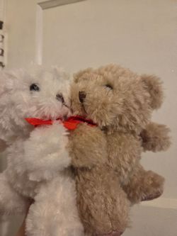 2 in 1 bear plush