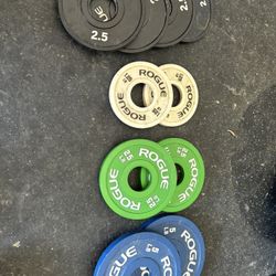 Rogue Change Plates Set