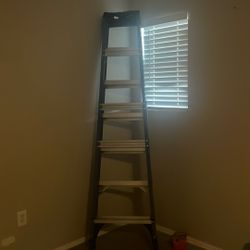 7 Foot Ladder