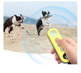 Pet training collar