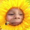 mayra