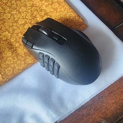Computer Mouse Razer Naga V2