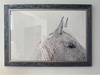 Exquisite Horse Print Art framed in glass