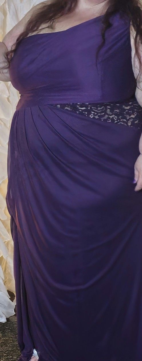 Plus size gown from Davids Bridal size 24W