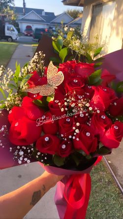 πΉβ€οΈRoses/flowers/rosas πΉ