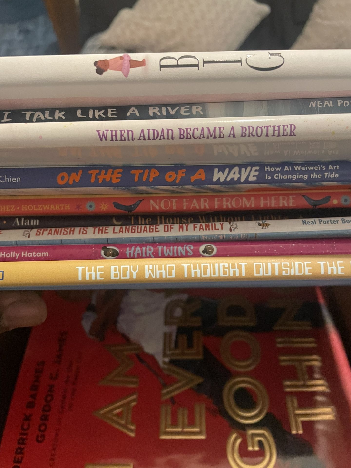 BRAND NEW Children’s Picture Book Bundle – Award Winners (10 Books)