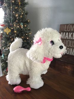 Fisher price puppy grows and knows your Poodle