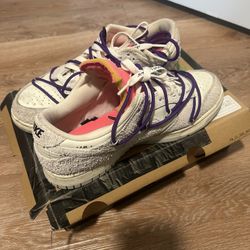 Off-White Dunk Low Off The Lot 15