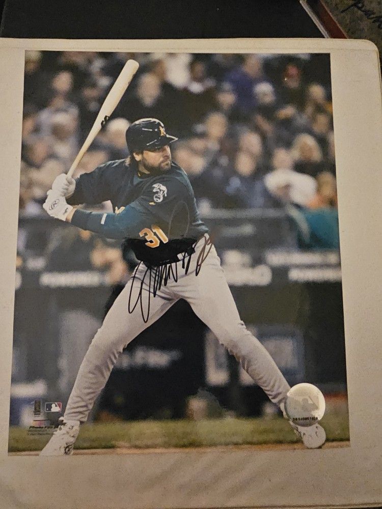 Mike Piazza 8 X 10 Autograph In Hard Plastic