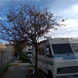 New Pics 82 Winniebago Brave Turn Key Home on Wheels Fully  Furnished Runs Great