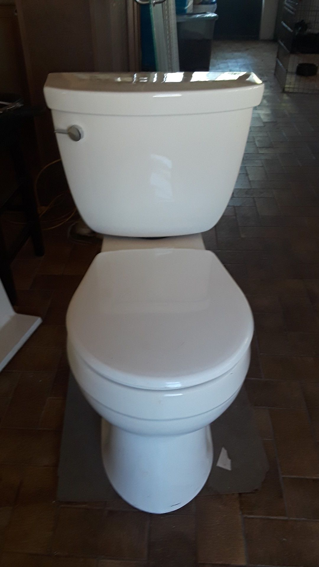 Kohler BIsque toilet