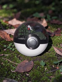Pokeball Art with Darkrai