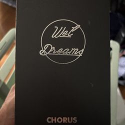 DeadBeat Sound Wet Dreams Analog Chorus Pedal w/ Box & Accessories