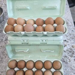Farm Fresh Eggs 1 Dozen 