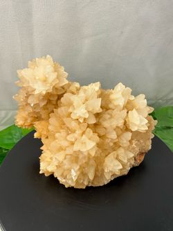 Crystal Flower Calcite