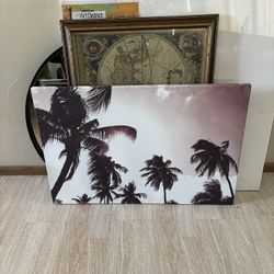 Palm Trees On Canvas