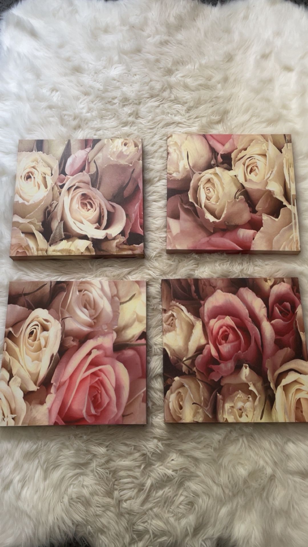 Rose Canvas