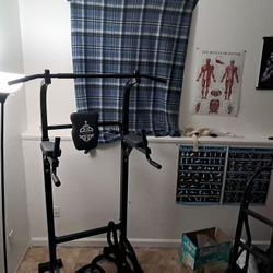 Pull Up Bar And Dip Station
