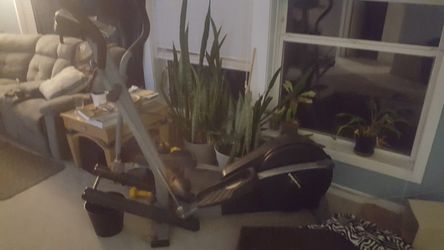 Elliptical machine For Free, $20 For Delivery To Local Area