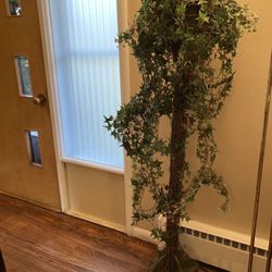 Ivy topiary tree