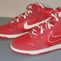 Nike SB Dunk First Edition Size 10.5 New With Tags 