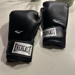 Everlast Boxing Gloves 
