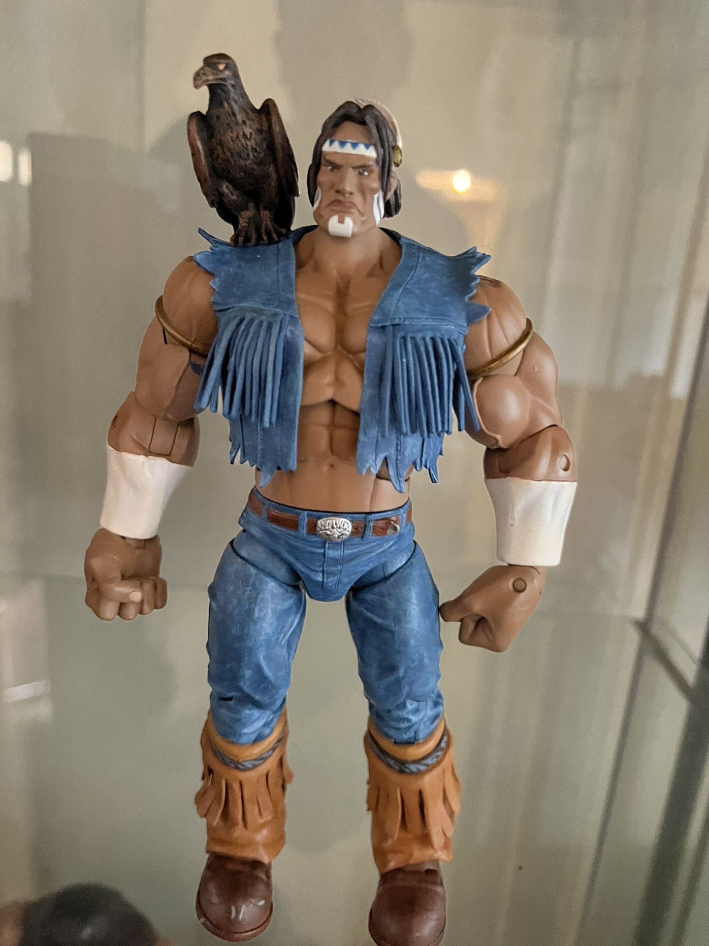 Sota Street Fighter T Hawk