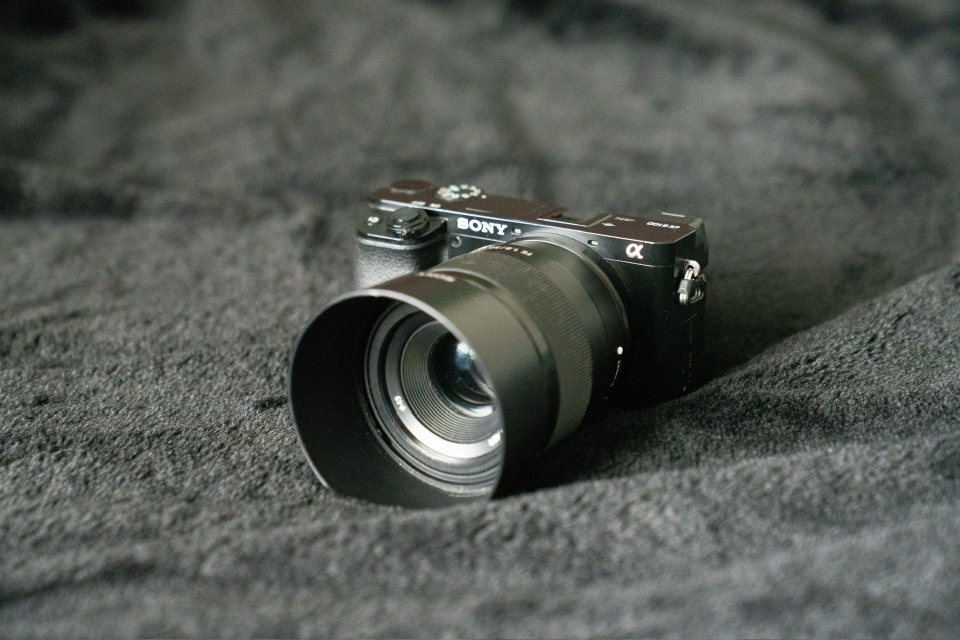 Sony A6100 w/ Sony 50mm 1.8 & Wall Charger