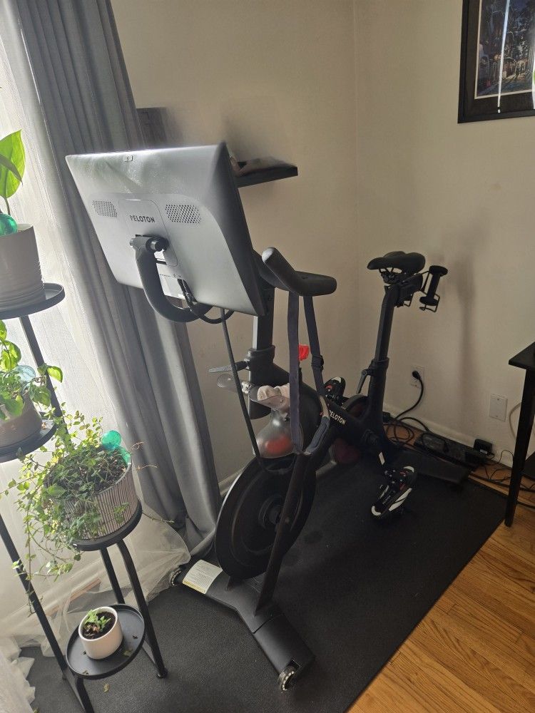 Peloton Bike $550 OBO
