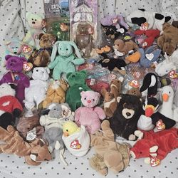 Teddy Ty Peluches 