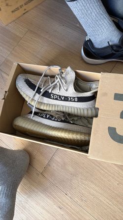 Yeezy 350
