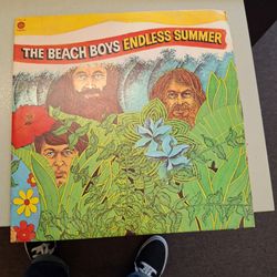 Beach boys vinyl record