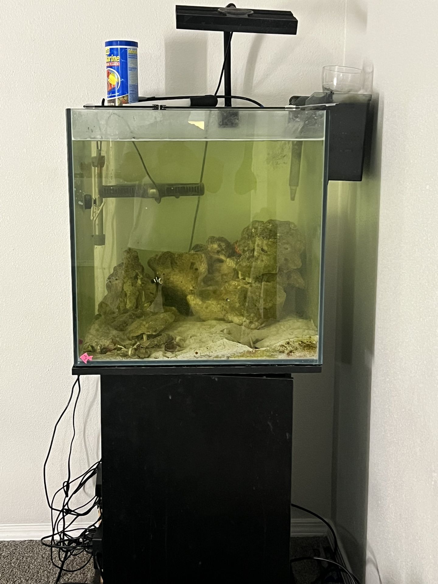 60 Gallon Cube Tank