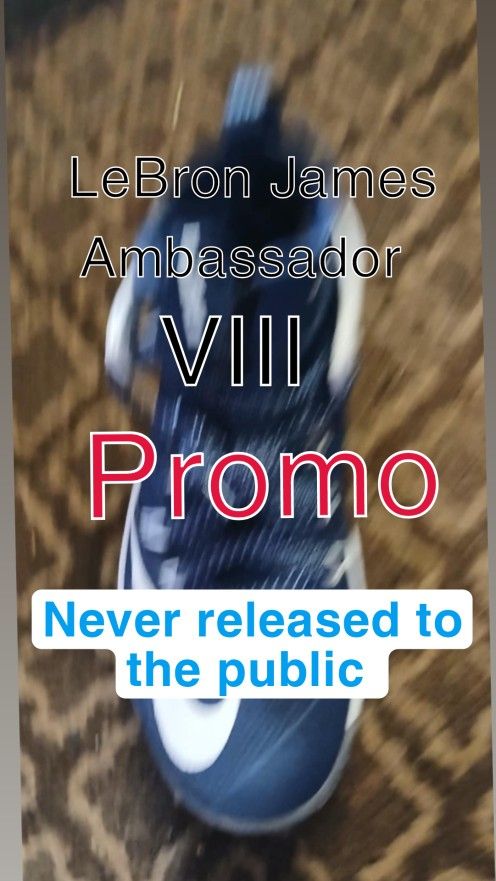 Labron James Ambassador VIII