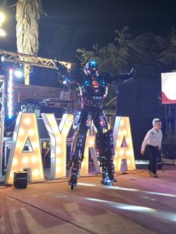 Robot