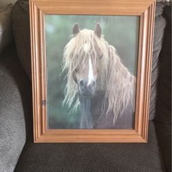 Horsey Picture