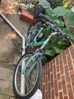 Nishiki Bike