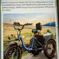 New Electric Trike