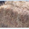 U-Load-Em HAY