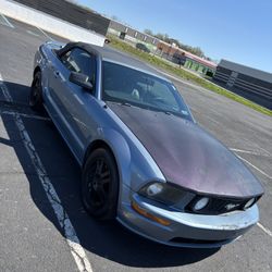 2006 Ford Mustang