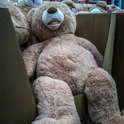 Huge Teddy Bear